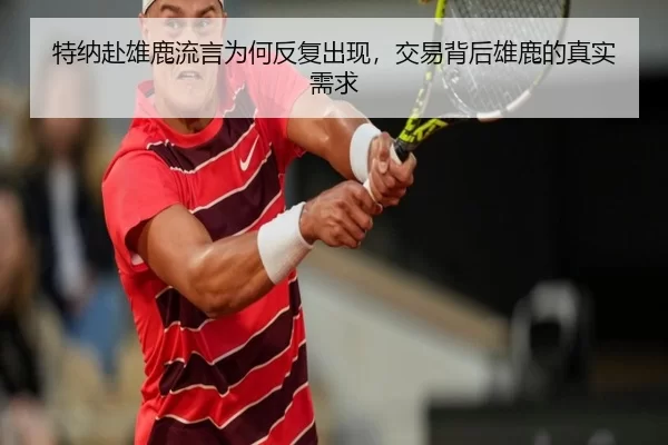 te-na-fu-xiong-lu-liu-yan-wei-he-fan-fu-chu-xian-jiao-yi-bei-hou-xiong-lu-de-zhen-shi-xu-qiu-2-803.jpg